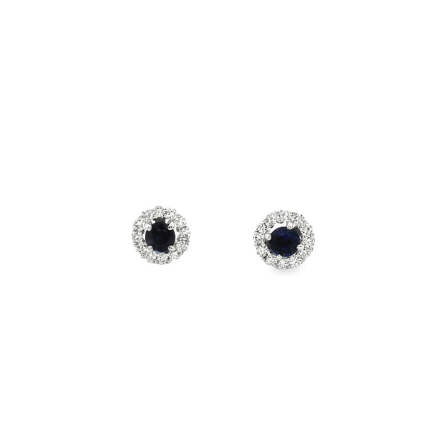 Magnified Sapphire Small Earrings